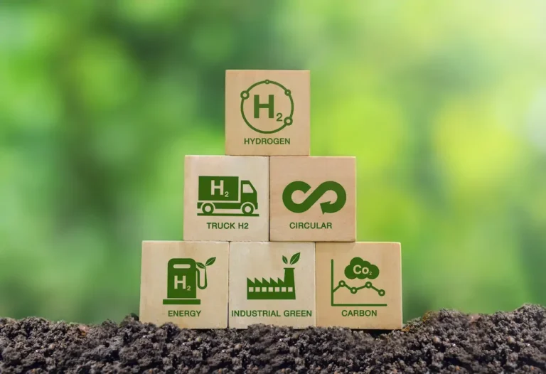 La transición hacia la economía circular en México: Desafíos y oportunidades